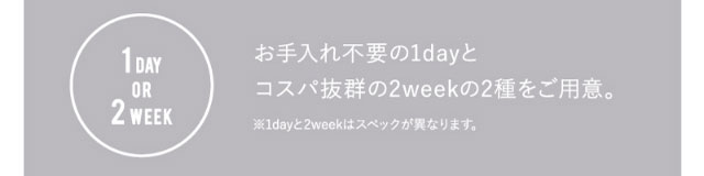お手入れ不要のワンデーとコスパ抜群の2weekの2種をご用意| 2weekエトエバイトゥインクルアイズ(2week Etoē By Twinkle Eyes)