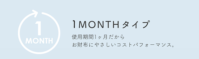 1MONTHタイプ|度あり・度なしマンスリー カラコン DIA 14.5mm 1箱1枚入り「アンドミー(AND MEE)」