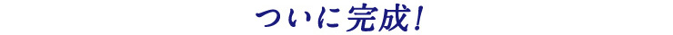 ついに完成!