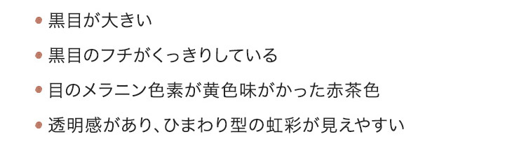 目のメラニン色素が黄色みがかった赤茶色,黒目のフチがくっきりしている,目のメラニン色素が黄色みがかった赤茶色,透明感があり、ひまわり型の虹彩が見えやすい