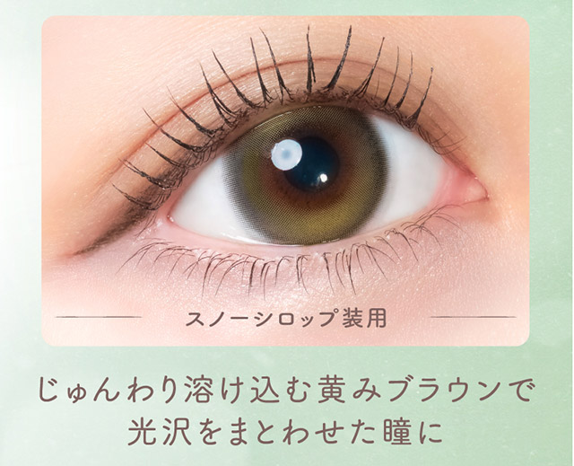 スノーシロップ装用写真,じゅんわり溶け込む黄みブラウンで光沢をまとわせた瞳に|つーちゃん(益若つばさ)イメージモデルの超人気ワンデーカラコン エンジェルカラーバンビシリーズに待望のマンスリーが登場 エンジェルカラーバンビワンマンス(Angelcolor Bambi Series 1month)