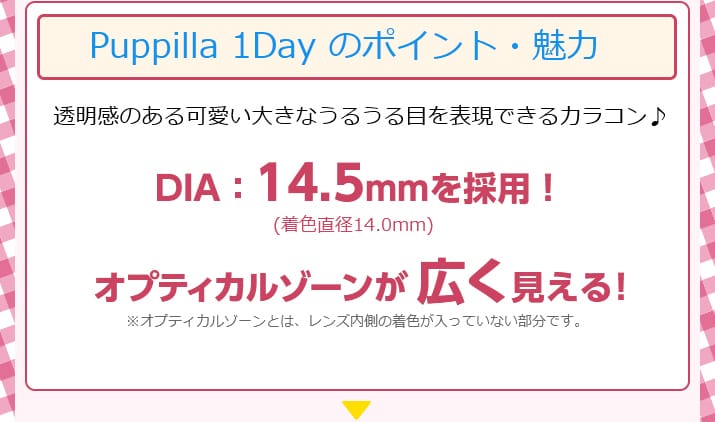 Puppilla1dayのポイント・魅力