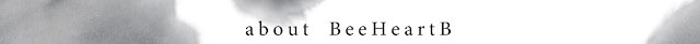 ビーハートビーワンデーは2つのスペック、6種のデザインから自分らしい瞳が選べるワンデーコンタクトレンズ|ビーハートビー2ウィーク(BeeHeartB)