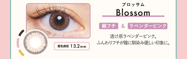 ブロッサム|細フチ&ラベンダーピンク【クルーム】BLACKPINKブラックピンクイメージモデル