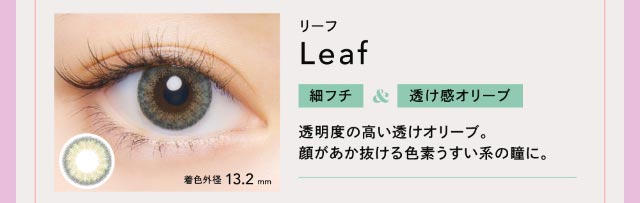 リーフ|細フチ&透け感オリーブ【クルーム】|クルーム(CRUUM)BLACKPINKイメージモデル,ワンデー,ブラックピンク