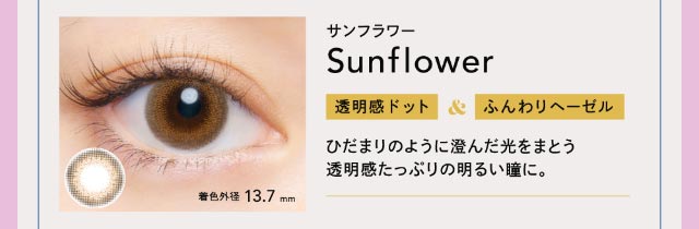 サンフラワー|ひだまりのような光をまとって【クルーム】|クルーム(CRUUM)BLACKPINKイメージモデル,ワンデー,ブラックピンク