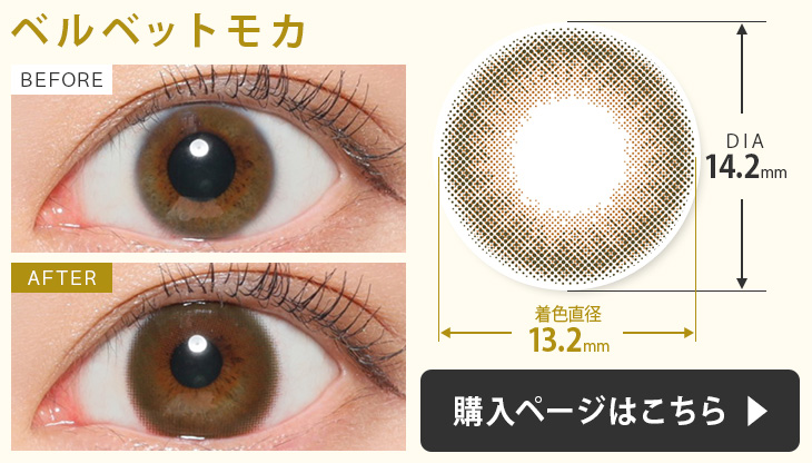 キャンディーマジックヴィクトリアワンデーカラコン ベルベットモカの装用画像