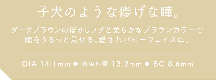 初心者さんも、カラコン好きさんも手に取りやすい、香音(かのん)さんイメモのガーリーカラコン『Cheritta 1day(チェリッタワンデー) パピーブラウン』ダークブラウンのぼかしフチと柔らかなブラウンカラーで瞳をうるっと見せる、愛されパピーフェイスに。