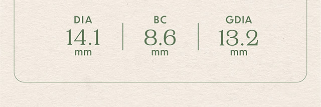 DIA14.1mm,BC8.6mm,GDIA13.2mm|ワンデーカラコンCheritta(チェリッタ)1DAY
