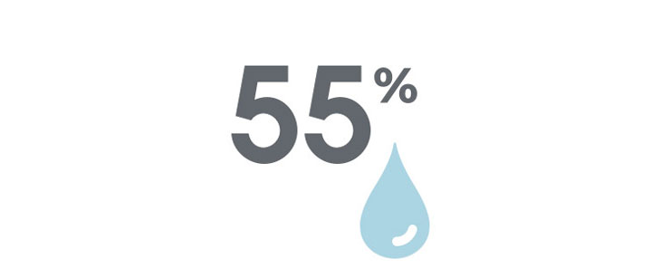 含水率55%の高含水レンズ