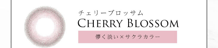 今田美桜イメージモデルダイヤブルームUVモイスト1day|チェリーブロッサムは儚く淡いサクラカラー|着色直径13.6mm