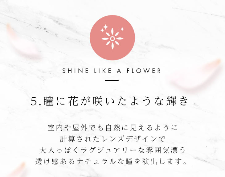 ダイヤブルーム UVモイスト 1dayは瞳に花が咲いたような輝き