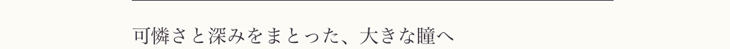 エトエバイトゥインクルアイズのエトエナチュラルリッチは「可憐さと深みをまとった、大きな瞳へ」がコンセプトのワンデーカラコン