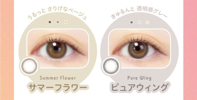 うるっとさりげなベージュ,サマーフラワー(Summer Flower),きゅるんと透明感グレー,ピュアウィング(Pure Wing)|エバーカラーワンデーニコリ(EverColor1day nicori)/ワンデーカラコン