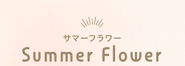 Summer Flower(サマーフラワー)|エバーカラーワンデーニコリ(EverColor1day nicori)/ワンデーカラコン