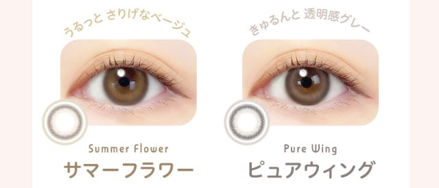 うるっとさりげなベージュ,サマーフラワー(Summer Flower),きゅるんと透明感グレー,ピュアウィング(Pure Wing)|エバーカラーワンデーニコリ(EverColor1day nicori)/ワンデーカラコン