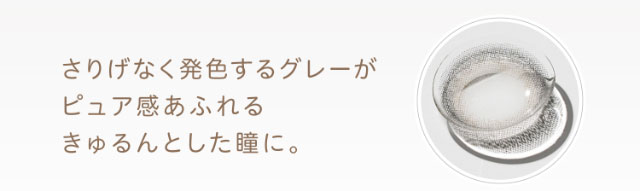 ピュアウィングはきゅるんと透明感グレー,さりげなく発色するグレーがピュア感あふれるきゅるんとした瞳に。|エバーカラーワンデーニコリ(EverColor1day nicori)/ワンデーカラコン