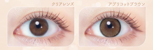 アプリコットブラウンの装用写真|新木優子イメージモデルのマンスリーカラコン【エバーカラーワンマンス(Ever Color 1MONTH)】エバーカラーマンスリー カラコン マンスリーカラコン 1month 2枚入り 度あり・度なし  DIA14.5mm UVカット モイスト シリコーンハイドロゲル素材