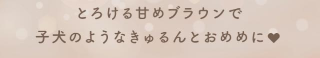 とろける甘めブラウンで子犬のようなきゅるんとおめめに♡|新木優子イメージモデルのマンスリーカラコン【エバーカラーワンマンス(Ever Color 1MONTH)】エバーカラーマンスリー カラコン マンスリーカラコン 1month 2枚入り 度あり・度なし  DIA14.5mm UVカット モイスト シリコーンハイドロゲル素材