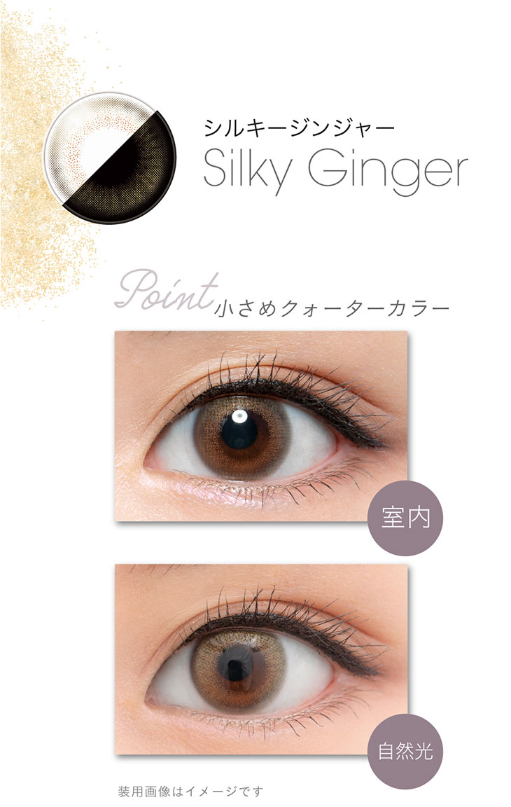 小嶋陽菜(こじはる)イメモワンデーカラコン フェアリーワンデーシマーリングシリーズ|DIA14.2mm 着色直径</span> 12.6mm 小さなクォーターカラーがポイントのシルキージンジャー