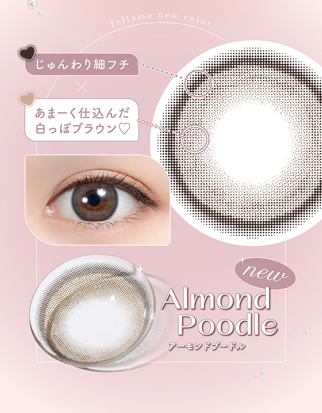 アーモンドプードル,じゅんわり細フチ×あまーく仕込んだ白っぽブラウン|フェリアモワンデー 白石麻衣さんイメージモデル 誰でも絶対盛れちゃう!ナチュラルカラコンならフェリアモ(feliamo)