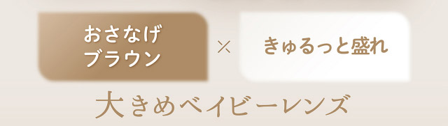 フェリアモワンデーのシャイニーブラウン|フェリアモワンデー 白石麻衣さんイメージモデル 誰でも絶対盛れちゃう!ナチュラルカラコンならフェリアモ(feliamo)