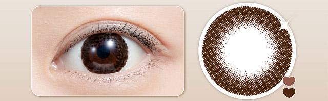 フェリアモワンデーのシャイニーブラウン|フェリアモワンデー 白石麻衣さんイメージモデル 誰でも絶対盛れちゃう!ナチュラルカラコンならフェリアモ(feliamo)