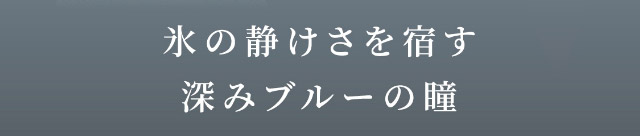 氷の静けさを宿す深みブルーの瞳|「もう一段階上の私へ」をコンセプトに内に秘めた個性を呼び覚ますワンデーカラコン,TWICE ジョンヨンイメージモデル【GIRL CRUSH(ガールクラッシュ)】1day,10枚入り,DIA14.0mm,BC8.6mm