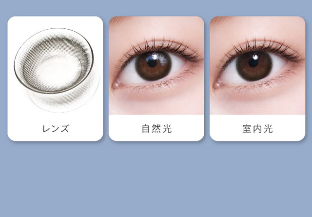 ハイディトーリック ソフトヴィジョン 装用 レンズ