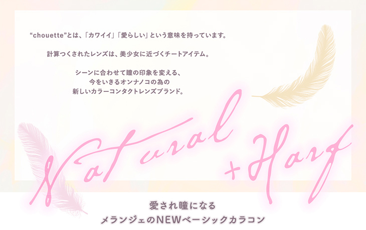 メランジェシュエットの「シュエット」とは「かわいい」「愛らしい」という意味です