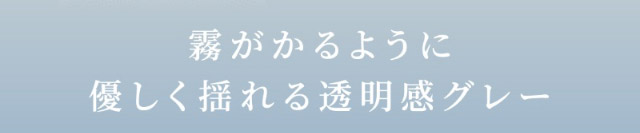 霧がかるように優しく揺れる透明感グレー|女神のような美しさをコンセプトに瞳に艶と色気を纏うワンデーカラコン,TWICE ミナイメージモデルのワンデーカラコン【MEVILAGE(メビラージュ)】1day,10枚入り,DIA14.0mm,BC8.6mm