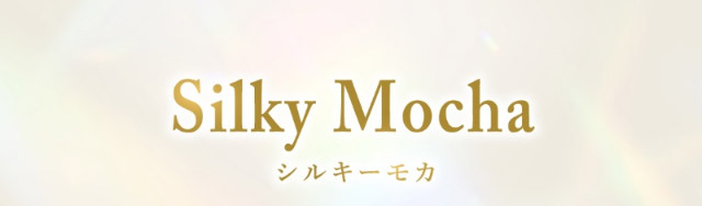 シルキーモカ|女神のような美しさをコンセプトに瞳に艶と色気を纏うワンデーカラコン,TWICE ミナイメージモデルのワンデーカラコン【MEVILAGE(メビラージュ)】1day,10枚入り,DIA14.0mm,BC8.6mm