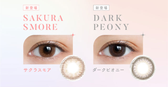 サクラスモア(SAKURA SMORE) ダークピオニー(DARK PEONY)装用イメージ,レンズ写真|宮脇咲良(さくらたん)イメージモデルのマンスリーカラコン【モラクマンスリー(MOLAK monthly)】