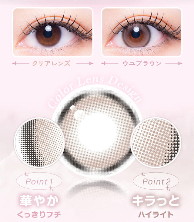 ウユブラウン ポイント