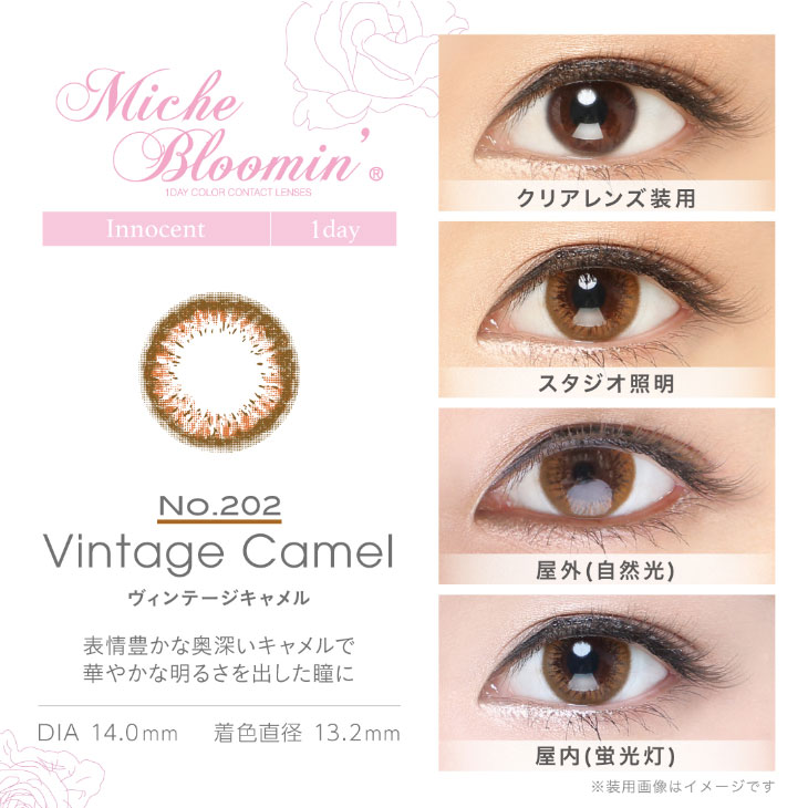 紗栄子イメージモデルカラコンミッシュブルーミン イノセントシリーズ(Miche Bloomin) ヴィンテージキャメル 装用画像