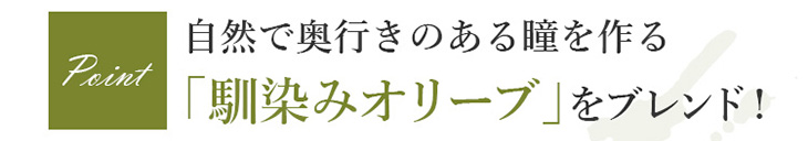 アネコンモテコンツーウィーク2weekマージュ彩ちゃん御秒奈々イメージモデル1箱4枚入り
