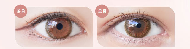 シエルアクアコーラル装用写真|小松菜奈ちゃんイメージモデルネオサイトワンデーシエルUV
