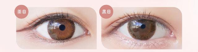 シエルベージュ装用写真|小松菜奈ちゃんイメージモデルネオサイトワンデーシエルUV