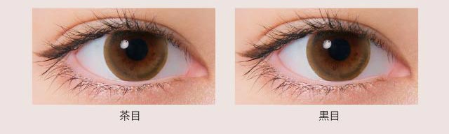 LightBrown(ライトブラウン)の茶目装用写真,LightBrown(ライトブラウン)の黒目装用写真|ネオサイトワンデーリングUV/ワンデーカラコン/小松菜奈さんイメージモデル