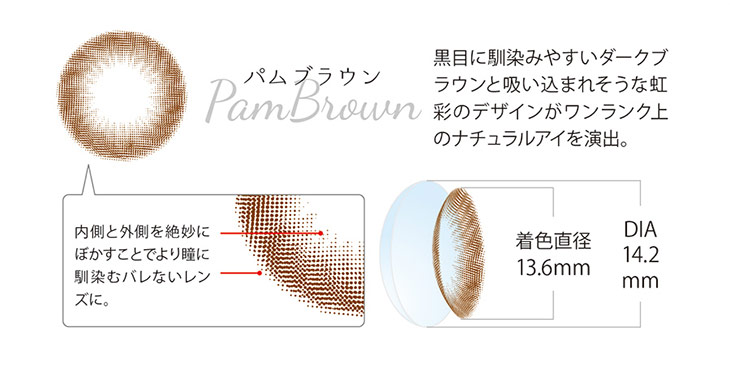 プトゥプトゥパムブラウン Ptuptu Pambrown カラコン1ヶ月送料無料 モアコンタクト モアコン 公式カラコン通販