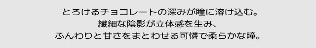 とろけるチョコレートの深みが瞳に溶け込む。繊細な陰影が立体感を生みふんわりと甘さをまとわせる可憐でやわらかな瞳|ENHYPEN HEESEUNG(ヒスン)イメージモデル,最新の韓国トレンドを盛り込んで表現したワンデーカラコン【クラセスト(Qrsessed)】ワンデーカラコン,1day,DIA14.2mm,含水率38.0%,低含水