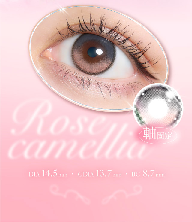 ロゼカメリア 装用画像