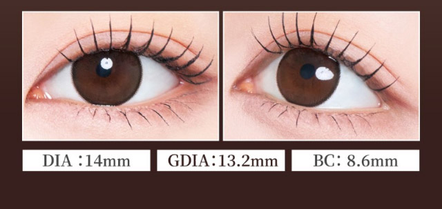 ドロップアンバー装用写真,DIA14mm,GDIA13.2mm,BC8.6mm|自信を語る、主役のまなざし TWICE サナイメージモデルのワンデーカラコン【RADIRIS(ラディリス)】1day,10枚入り,DIA14.0mm,BC8.6mm