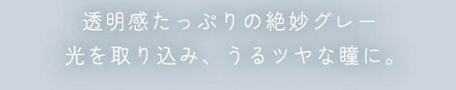 スムースグレーは透明感たっぷりの絶妙グレー,光を取り込みうるツヤな瞳に|ナチュラルで透明感のある瞳になれる2WEEKカラコン,RICHI STANDARD 2WEEK SERIES(リッチスタンダードツーウィーク),2week,1箱6枚入り,DIA14.2mm,BC8.6mm
