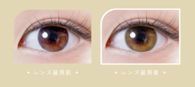 イノセントブラウン装用写真|ナチュラルで透明感のある瞳になれる2WEEKカラコン,RICHI STANDARD 2WEEK SERIES(リッチスタンダードツーウィーク),2week,1箱6枚入り,DIA14.2mm,BC8.6mm