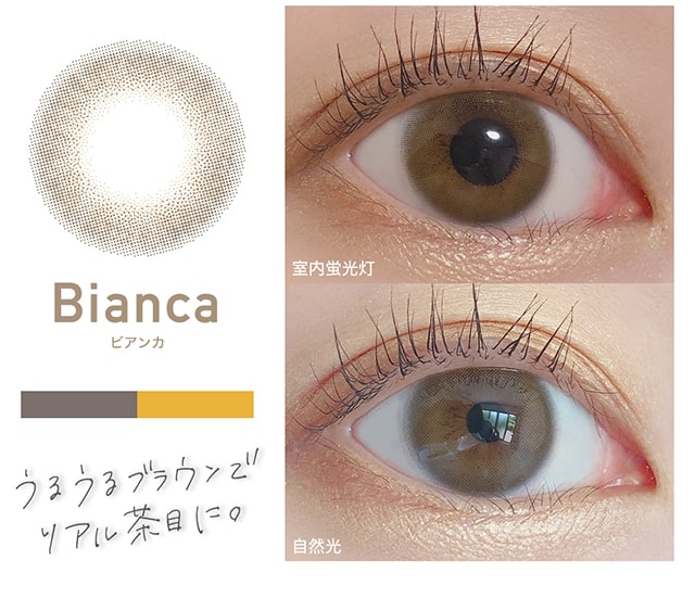 レヴィアワンデー新色 ビアンカ
