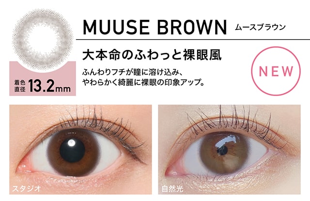 レヴィアワンデー ムースブラウン