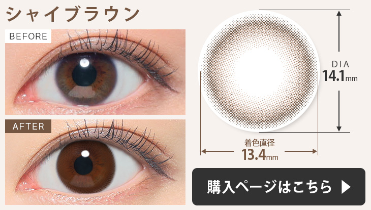 シャイブラウン