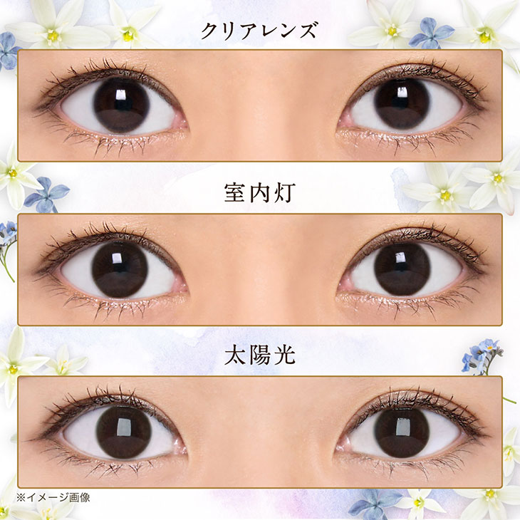 セレクトフェアリーユーザーセレクトマンスリースタンダードブラウンの着用写真