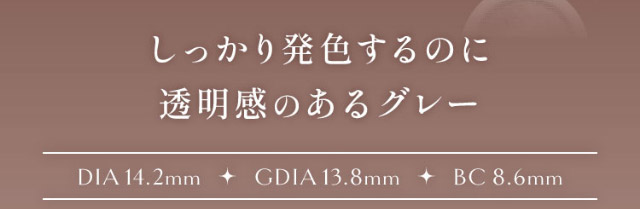 しっかり発色するのに透明感のあるグレー,DIA14.2mm,GDIA13.8mm,BC8.6mm|ひめたる麗しさイマドキワンホン「ヴィレジェ(VILLEGE)」,1day,DIA14.2/14.5mm,BC8.6mm,1箱10枚入り
